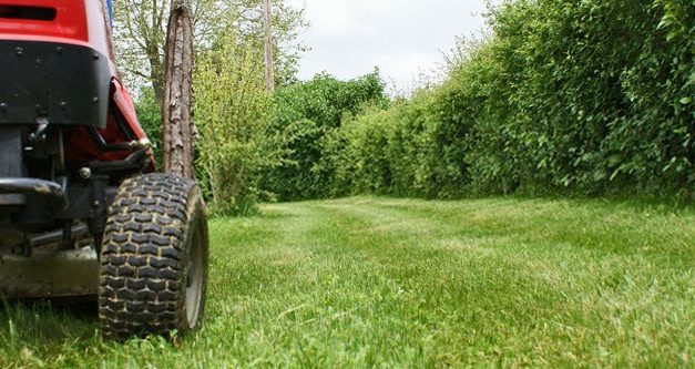 Tout savoir sur les tracteurs tondeuses