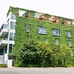 Les outils nécessaires pour l’entretien des murs végétaux
